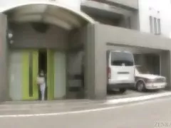 Pohjaton ja karvainen työtä Japanin 5