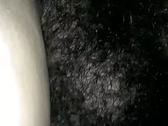 Suuri bush marie