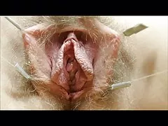 Pussies laulaa