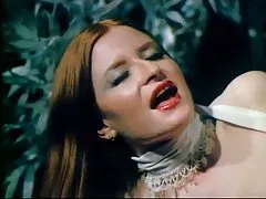 Foxy anaali